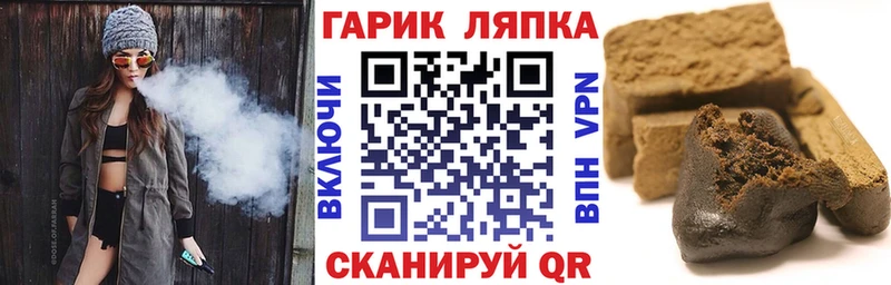 Купить  Цимлянск  ГАШ Изолятор 